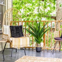 🌿 Jungle Cabin by Jungle House | Close to OSU, Convention Center & Nationwide Arena | 5,800+ Reviews | Downtown & Short North | Free Parking