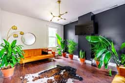 🌿 Jungle Nook by Jungle House | Downtown Chillicothe | Private Parking | 5,800+ Reviews | Walk to Historic District - Image 5