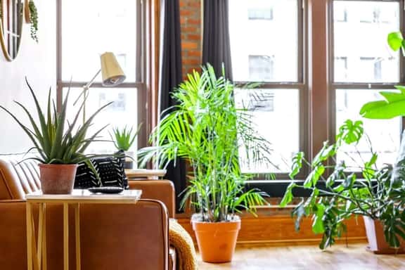 🌿Casa On High by Jungle House | Downtown & Short North | Free Parking | 5,800+ Reviews | Near Convention Center & Nationwide Arena & Ohio State | Right on High Street - Image 1