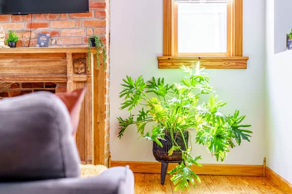 🌿 Jungle Cabin by Jungle House | Close to OSU, Convention Center & Nationwide Arena | 5,800+ Reviews | Downtown & Short North | Free Parking - Image 3