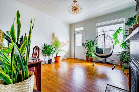 🌿 Welcome to the Jungle by Jungle House | Near Convention Center, OSU & Nationwide Arena | 5,800+ Reviews | Downtown & Short North | Walk to High Street | Free Parking - Image 4